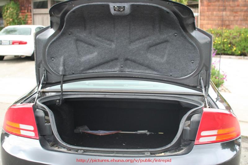 Huge trunk