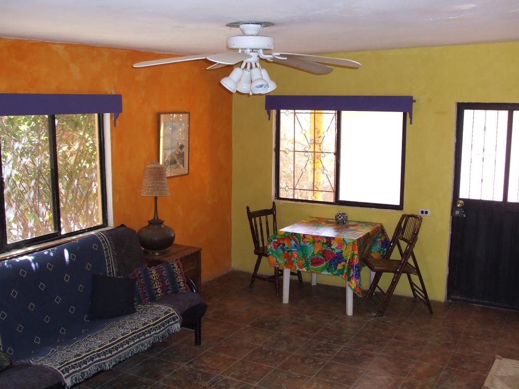 Living / Dining