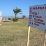 IMG_2163.jpg